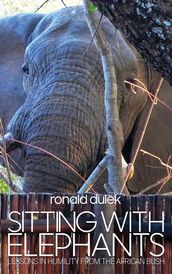 Sitting with Elephants