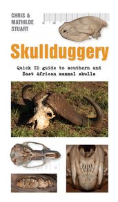 Skullduggery