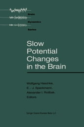 Slow Potential Changes in the Brain