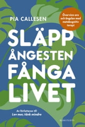 Släpp angesten, fanga livet : övervinn oro och ängslan med metakognitiv terapi