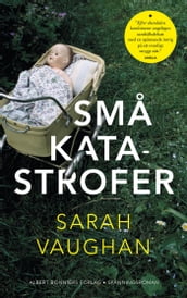 Sma katastrofer