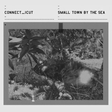 Small town by the sea - CONNECT_ICUT