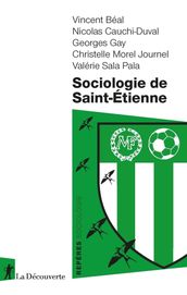 Sociologie de Saint-Etienne