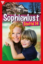 Sophienlust Staffel 14  Familienroman