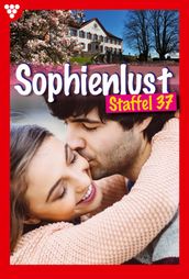 Sophienlust Staffel 37 Familienroman