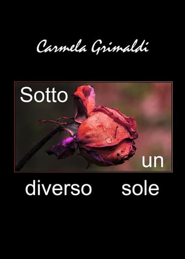 Sotto un diverso sole - Carmela Grimaldi