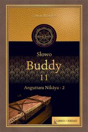 Sowo Buddy - 11