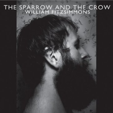 Sparrow & the crow - William Fitzsimmons