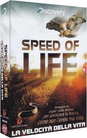 Speed Of Life - La Velocita  Della Vita (2 Dvd)