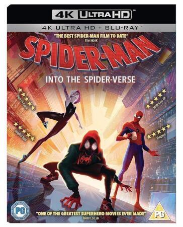 Spider-Man: Into The Spider-Verse [Edizione: Regno Unito]