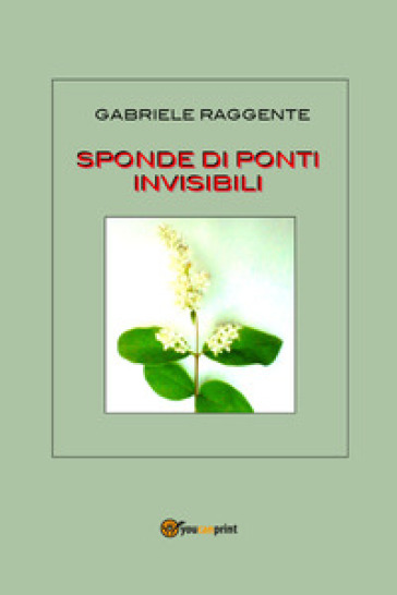 Sponde di ponti invisibili - Gabriele Raggente