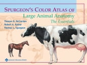 Spurgeon s Color Atlas of Large Animal Anatomy