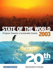 State of the World 2003