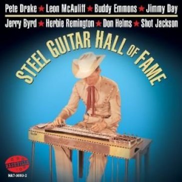 Steel guitar hall of fame / various - STEEL GUITAR HALL OF FAME / VARIOUS