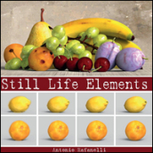 Still life elements