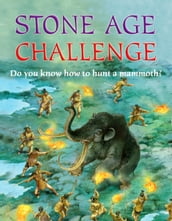 Stone Age