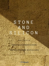 Stone and Silicon