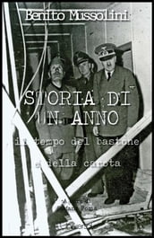 Storia di un anno