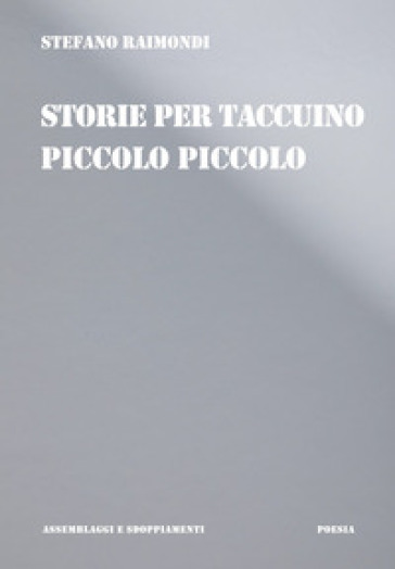 Storie per taccuino piccolo piccolo - Stefano Raimondi
