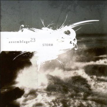 Storm - Assemblage 23