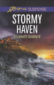 Stormy Haven (Coldwater Bay Intrigue, Book 2) (Mills & Boon Love Inspired Suspense)