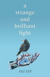 A Strange and Brilliant Light: Winner of the Writers  Guild Best First Novel Award