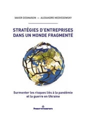 Stratégies d entreprises dans un monde fragmenté