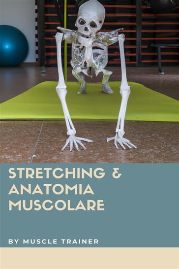 Stretching & Anatomia Muscolare - Muscle Trainer