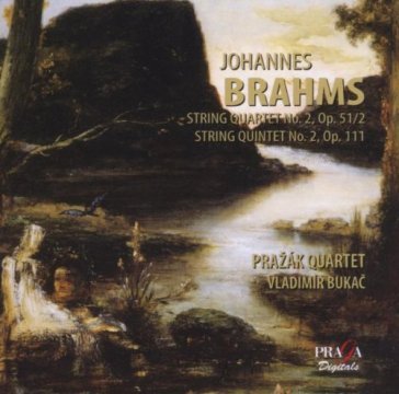String quartet no.2 - Johannes Brahms