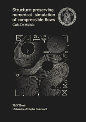 Structure-preserving numerical simulation of compressible flows - Carlo De Michele