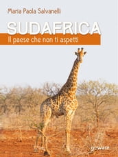 Sudafrica, il paese che non ti aspetti