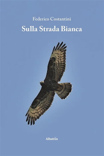 Sulla Strada Bianca - Federico Costantini