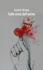 Sulle orme dell  anima