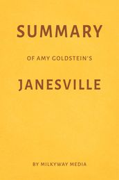 Summary of Amy Goldstein s Janesville