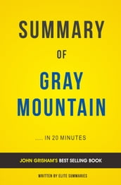Summary of Gray Mountain: by John Grisham Includes Analysis