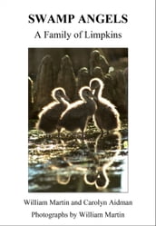 Swamp Angels: A Family of Limpkins