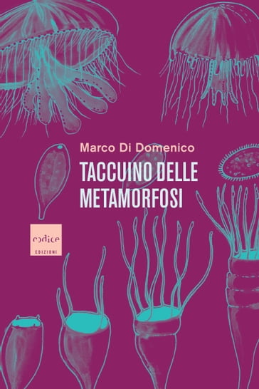 Taccuino delle metamorfosi - Marco Di Domenico