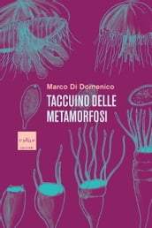 Taccuino delle metamorfosi