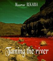 Taming the river