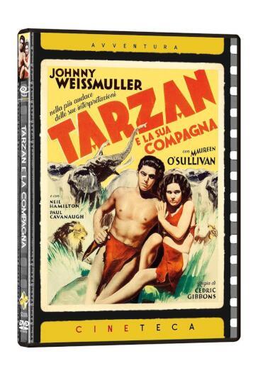 Tarzan E La Sua Compagna - Cedric Gibbons