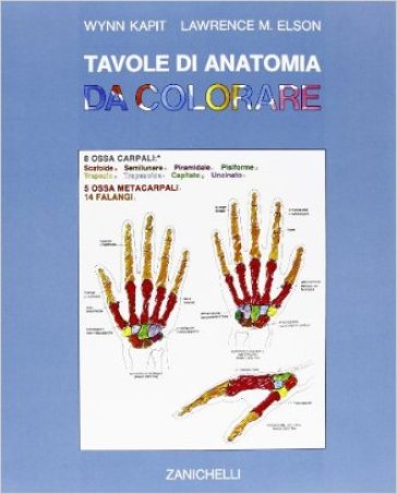 Tavole di anatomia da colorare. Per gli Ist. D'arte - Wynn Kapit