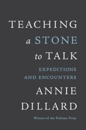 Teaching a Stone to Talk