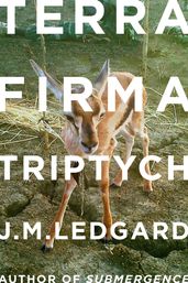 Terra Firma Triptych