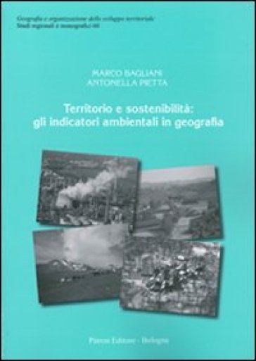 Territorio e sostenibilità. Gli indicatori ambientali in geografia - Marco Bagliani - Antonella Pietta