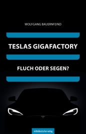 Teslas Gigafactory