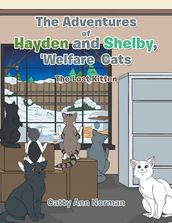 The Adventures of Hayden and Shelby,  Welfare Cats