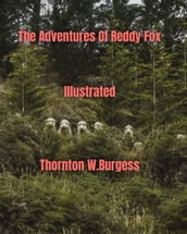 The Adventures of Reddy Fox Illustrated