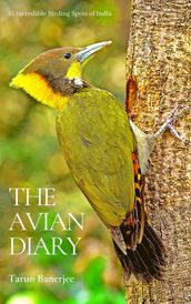 The Avian Diary