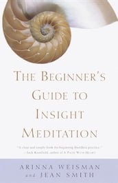 The Beginner s Guide to Insight Meditation