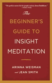 The Beginner s Guide to Insight Meditation